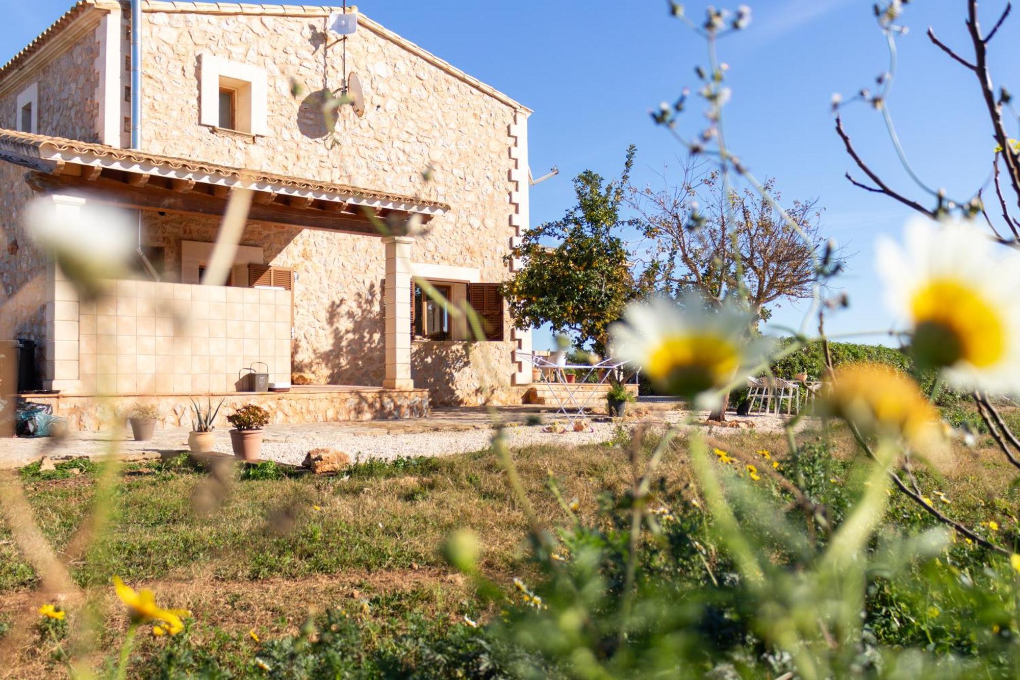 Villa Idyllische Natur-finca Mit 12m Pool & Meerblick