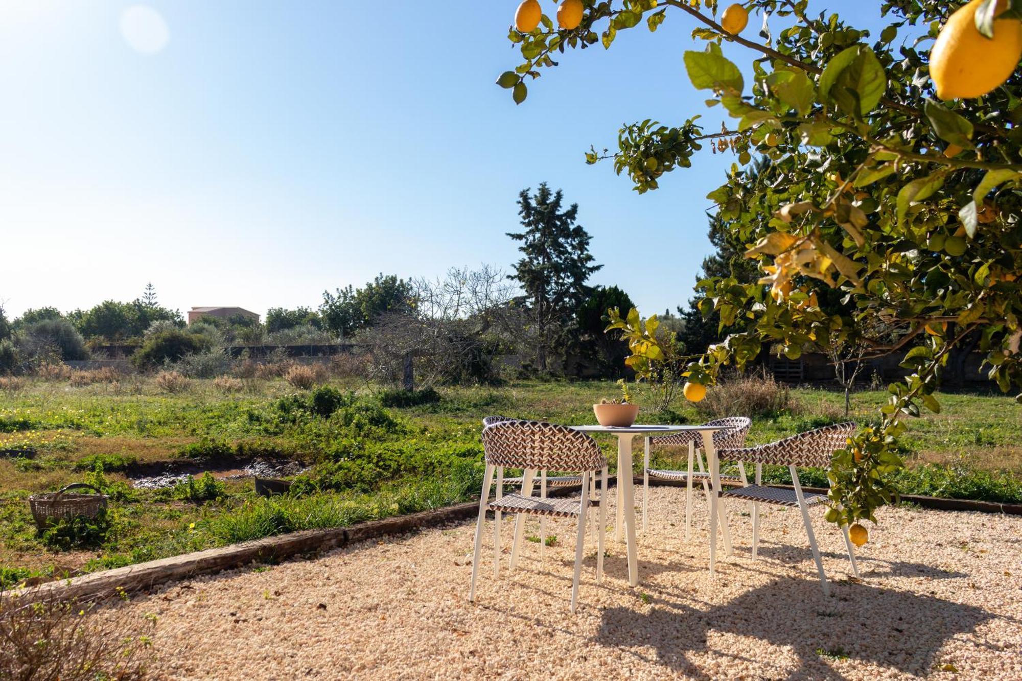 Idyllische Natur-finca Mit 12m Pool & Meerblick